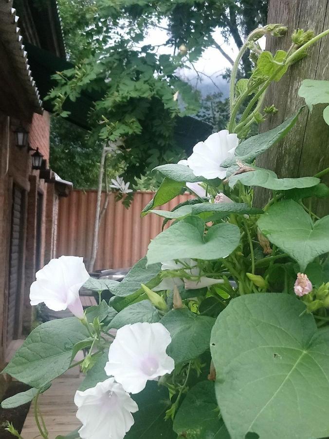 Tiny House Garden - Aparados Da Serra - Sc Villa ปรายากรันเจ ภายนอก รูปภาพ